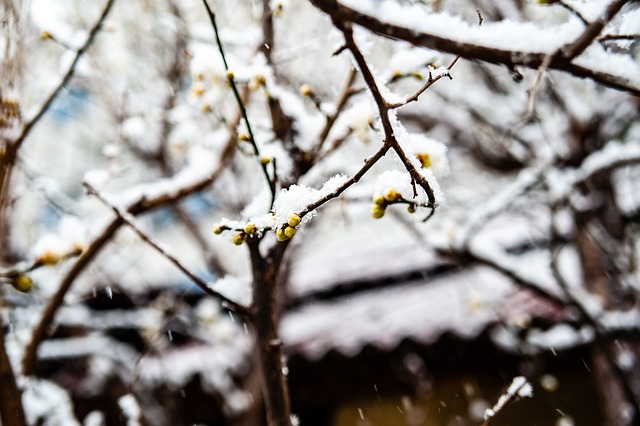8年前难想象如今滑雪水平，爱好者分享运动感悟